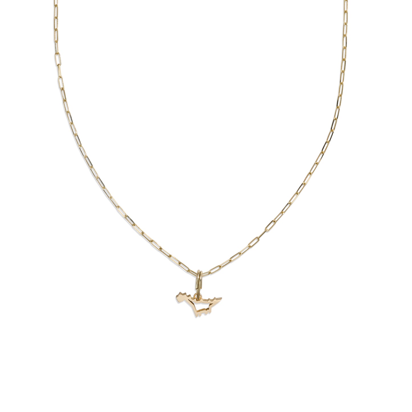 Diplodocus Pendant